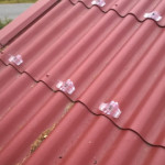 Varttikaton lumiesteet