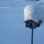 Kestää paljonkin lumikuormaa